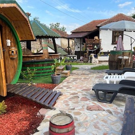 Vila Milica & Spa Aleksandra Dimitrovgrad Exteriör bild