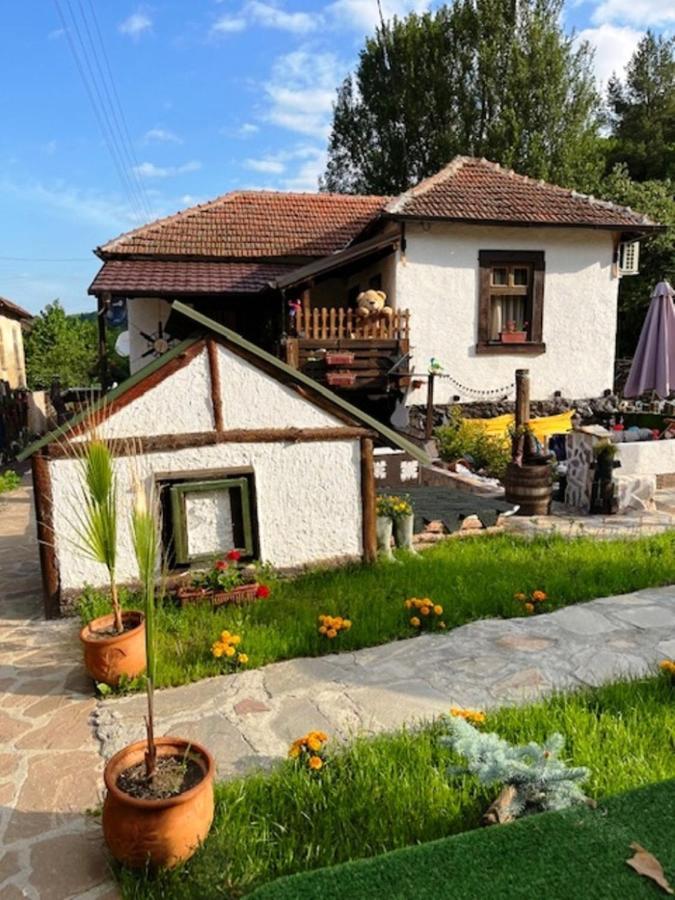 Vila Milica & Spa Aleksandra Dimitrovgrad Exteriör bild