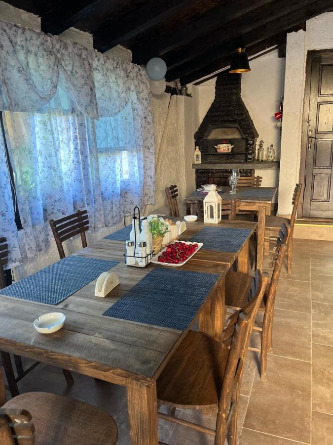Vila Milica & Spa Aleksandra Dimitrovgrad Exteriör bild