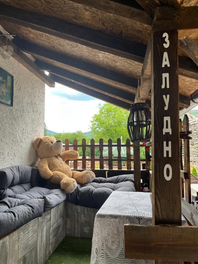 Vila Milica & Spa Aleksandra Dimitrovgrad Exteriör bild